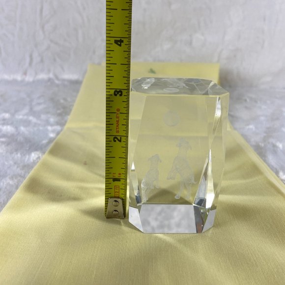 Playing Dogs Ball Puppies Laser Etched Crystal Glass Rectangle Paperweight 3D - Picture 9 of 10